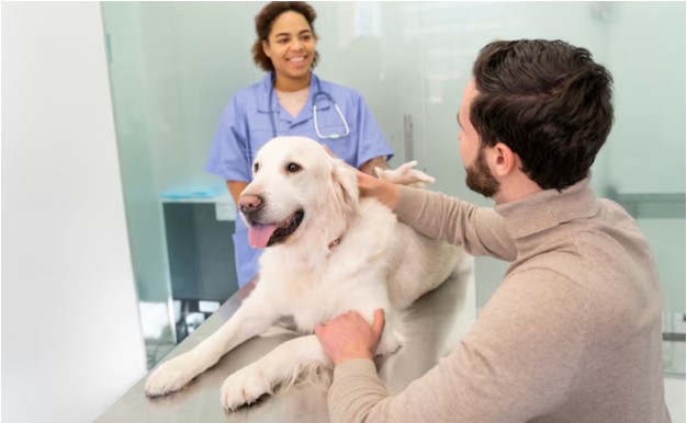 Top Essential Services That Help Pet Owners Keep Their Pets Healthy and Happy